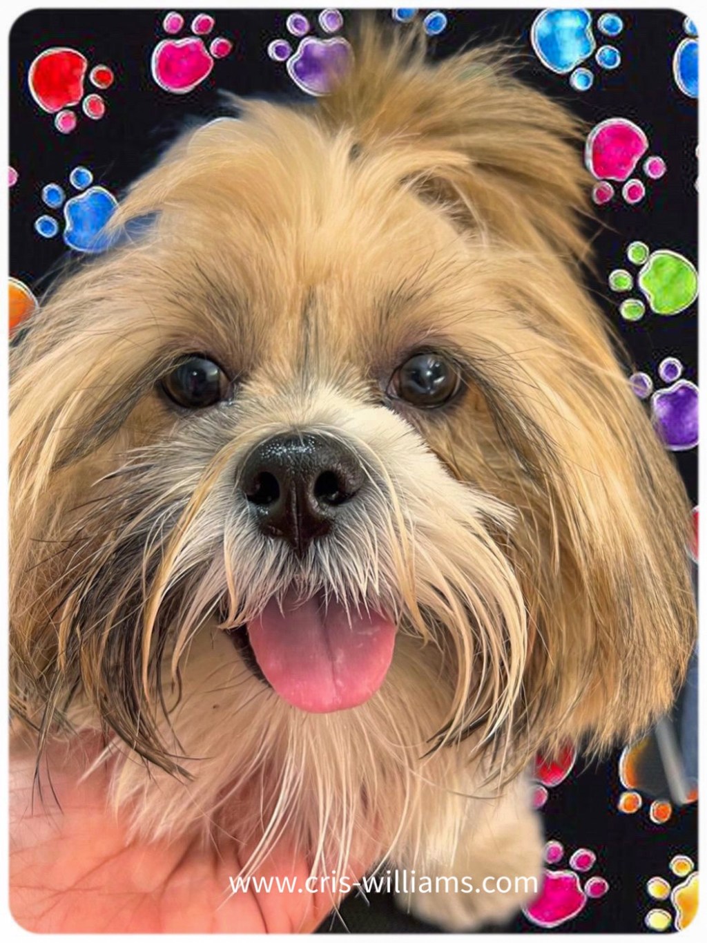 Our Adorable Invader