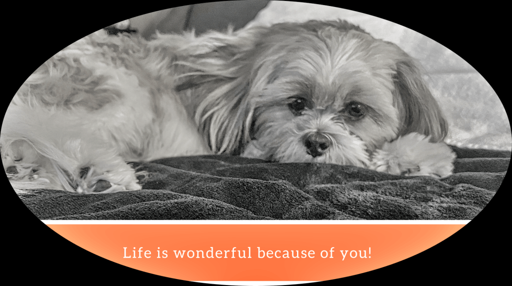 Life is Wonderful Because of&nbsp;You