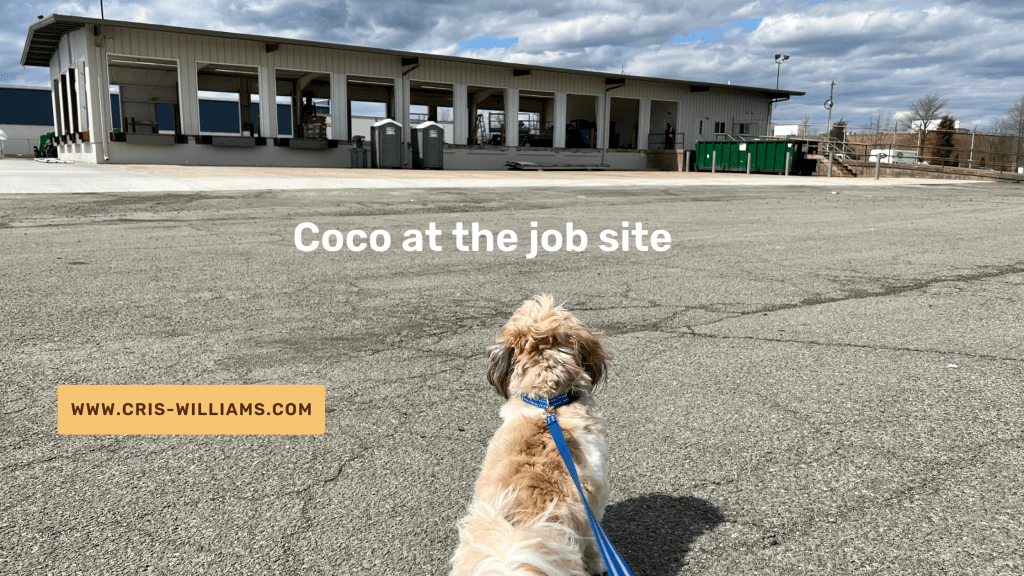 At Work With&nbsp;Coco